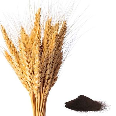 Full Absorbable Amino Acid Fertilizer Excellet Source Of Organic Nitrogen And Iron