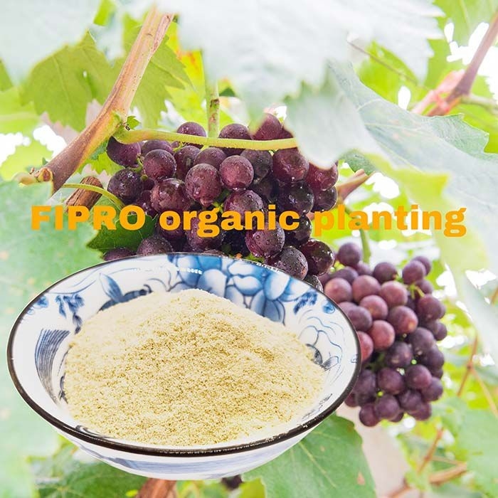 Amino Acid Soybean Meal Organic Fertilizer Powder Solubility 75%